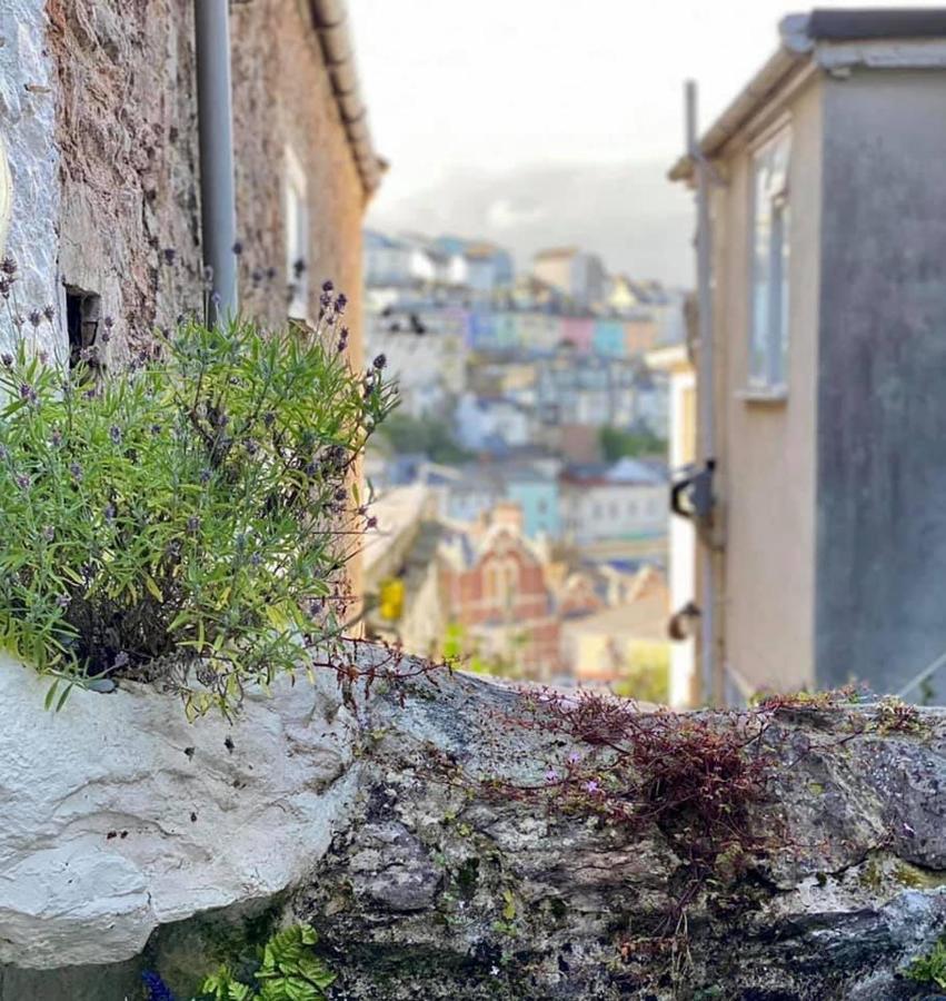 Saltys Cottage, Brixham - 2 Min Walk To The Harbour Экстерьер фото